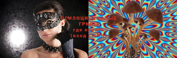 mdpv Заволжье