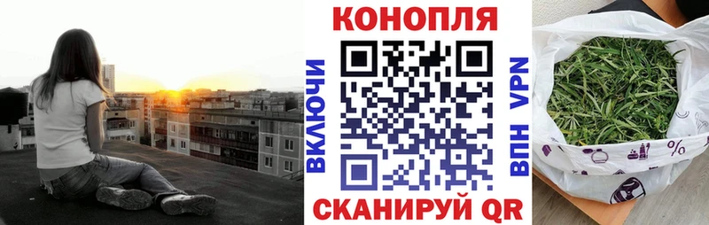 купить наркоту  Майкоп  Марихуана марихуана 