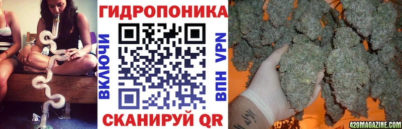 Шишки марихуана сатива Майкоп